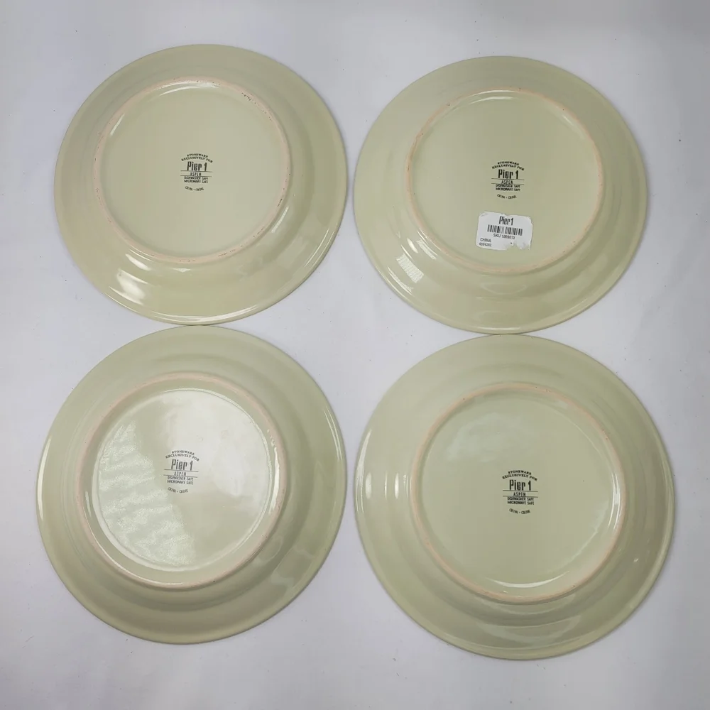 Pier 1 Aspen Stoneware Salad Dessert Plates Set of 4